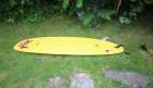 Surfboard for rent McTavish Carver 8’0″