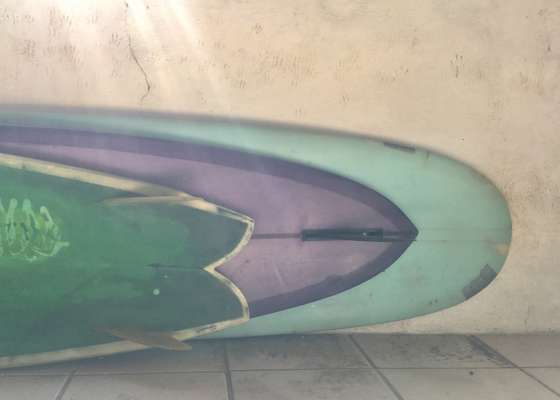 Surfboard for rent Travis Reynolds Fish