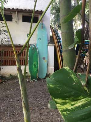 Surfboard for rent Bing, California square tail 9’2”