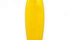 Surfboard for rent Feather retro fish 6’0