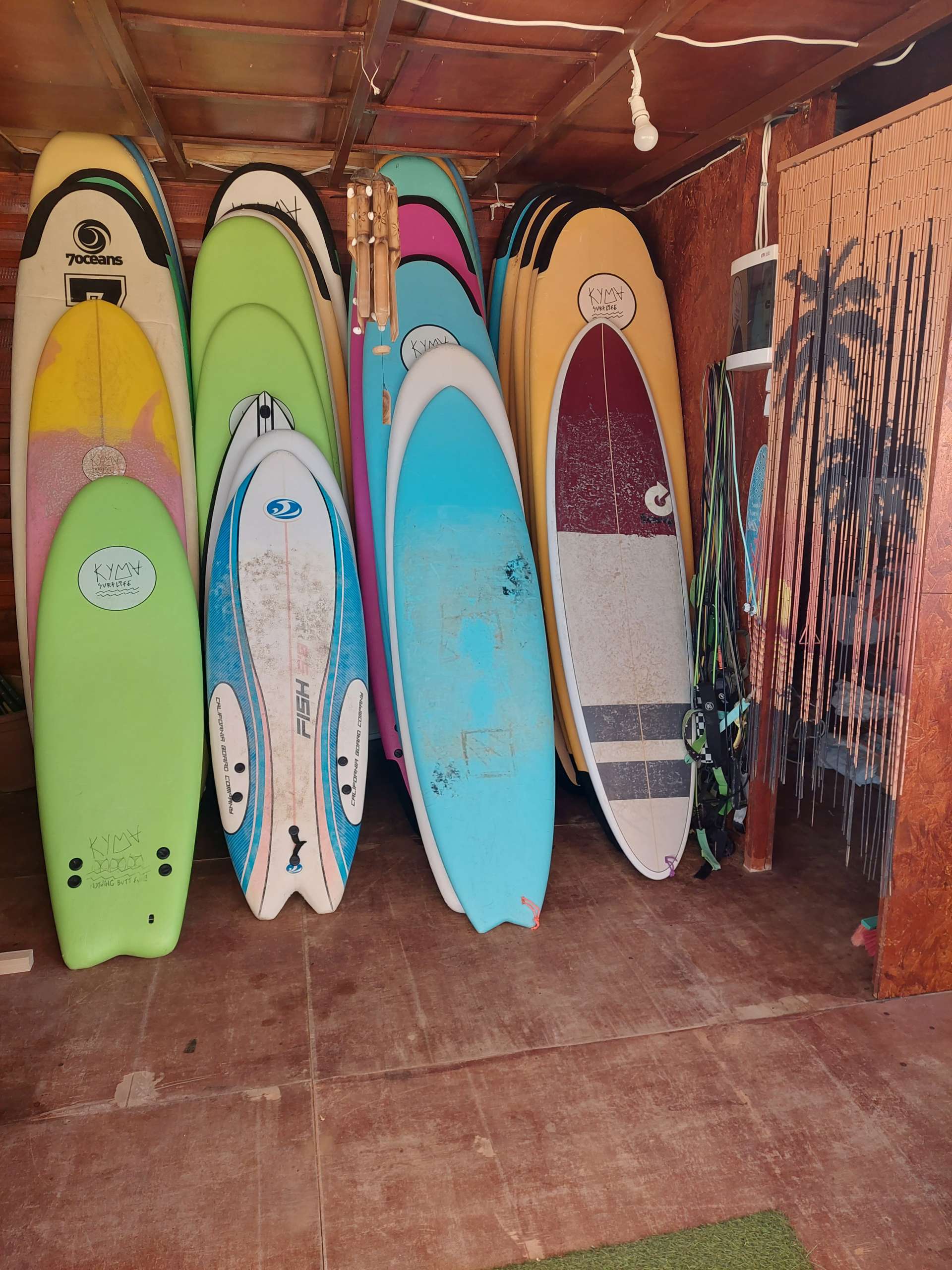 Softboard surfboard for rent Surfy Nomads surf rental